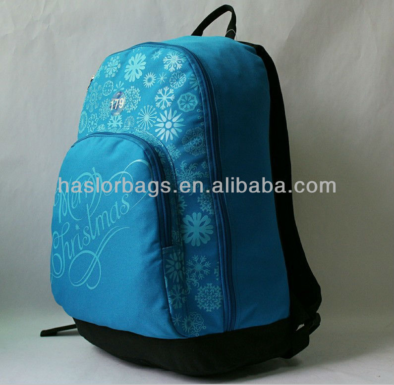 Hoe Sale Best Selling Sky Blue Color Cheap Laptop Bags