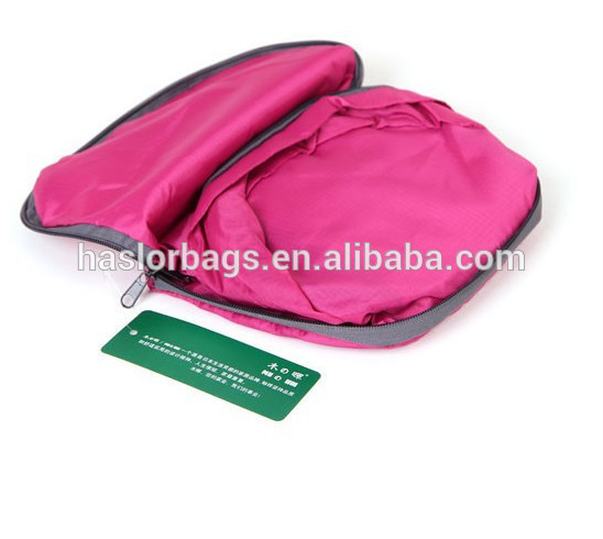 Korea Style Folding Backpack for Travel