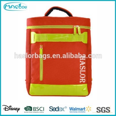 2015 Haslor School Bag /Book Bag /Name Brand Backpacks for Teens