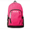 2016 Colorful Wholesale Low Cost Backpack for Teenagers