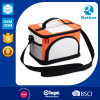 Hot Sell Promotional Personalized Small Insulated Cooler Bag Backpack