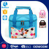 Various Colors & Designs Available Top Grade Thermo Bag