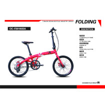 Folding Bicycle