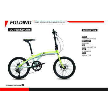 Folding Bicycle