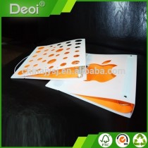 Factory Custom Eco-friendly Durable Creative design PP PVC plastic file folders