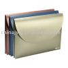 PVC file bag with logo (document case)