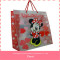 2015 new arrive pp plastic shopping pouch