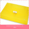 2015 yellow colore pp plastic document handle file box