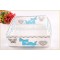 China supplier OEM factory eco-friendly pp plastic packing box for women underwer