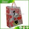 Factory Directly Printed Machine Made Shopping Plastic Bags