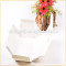 High Quality on Alibaba China PP Tissue Box