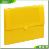 Factory Custom A4 PP Plastic File Box File Folder