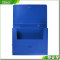 Oem Factory Customized Pp Pvc Pet A3 A4 Plastic File Box
