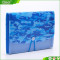 Deoi OEM customized PP/PVC wholesale recycled cheap plastic expanding file folder