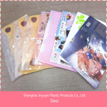 profesional OEM factory and customized durable shanghai hotsale pp envelop style file folder