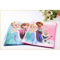 plastic file folder with zipper are warm welcomed in Japan which made in Shanghai factory