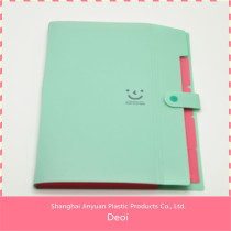Deoi OEM factory customized PP/PVC/PET durable file folders with plastic inserts