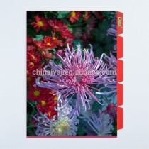 customized 5 pockets PP plastic L shape file folder with chrysanthemum photo made in Shanghai professional OEM factory