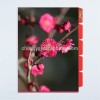 customized 5 index PP plastic portfolio L shape file folder with 5 pockets made in Shanghai professional OEM