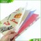 China supplier high-quality fashion pp plastic pocket file folder with colored pages
