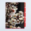 Creative design custom made 5 pockets PP plastic L shape file folder with white plum blossom photo and 5 indexes
