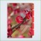 OEM factory Deoi A4 size pp plastic file folder with 5 inserts with flower cover
