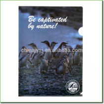Be Captivated by Nature Style file folder made of Fresh PP material A3 A4 size PP plastic L shape document folder