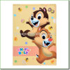 Deoi 0.2mm A4 clear file folder which made of Glossy or frosted PP/PVC plastic FC size L shape file folder made in Shanghai