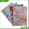 Decorative PP A4 Clear Japanese Plastic File Folder