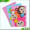 Colored File Folder, A4 size plastic file folder with full color printing