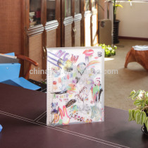 Custom made pp plastic A3 binder clip file folder made in professional stationery factory