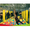 How to play the Olympic jump in trampoline park?