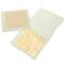 Neutriherbs 24K Gold Foil Leaf Face Mask - 500pcs/pack - Wholesale