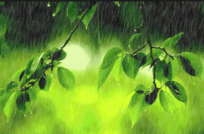 Plum Rain- rainy spell in early summer