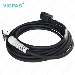 50978-2014L10 10m Cable for iPendant Replacement