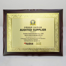 Became to SGS audited supplier