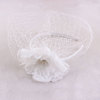 Wedding Hairstyles All Down Adorable Vintage Birdcage Veils