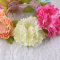 Colors carnation flower headwrap with bun crown