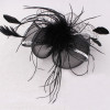 Mesh feather birdcage veil bow fascinators for party