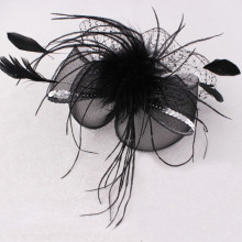 Why Choose Feathers hair accessories?