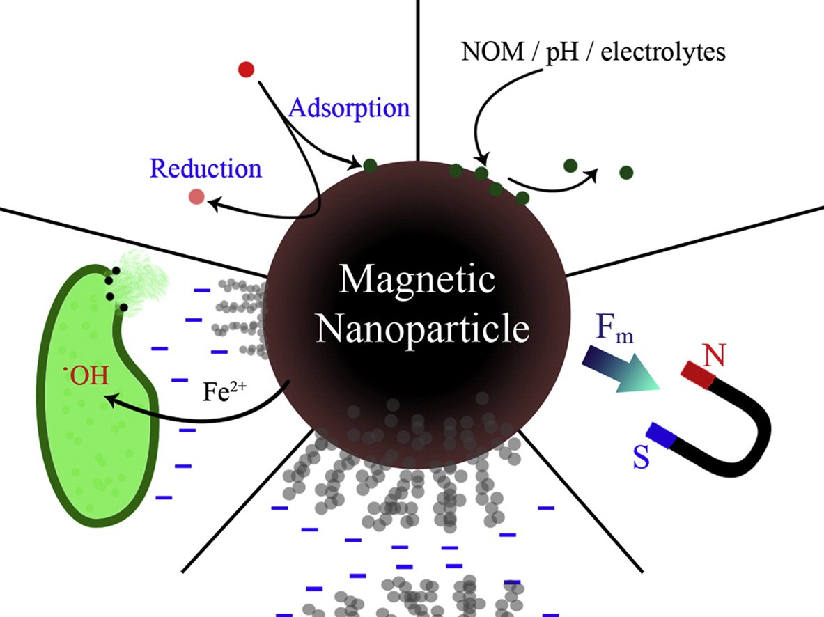 Magnetic nanoparticle-based therapeutic agents for thermo-chemotherapy treatment of cancer