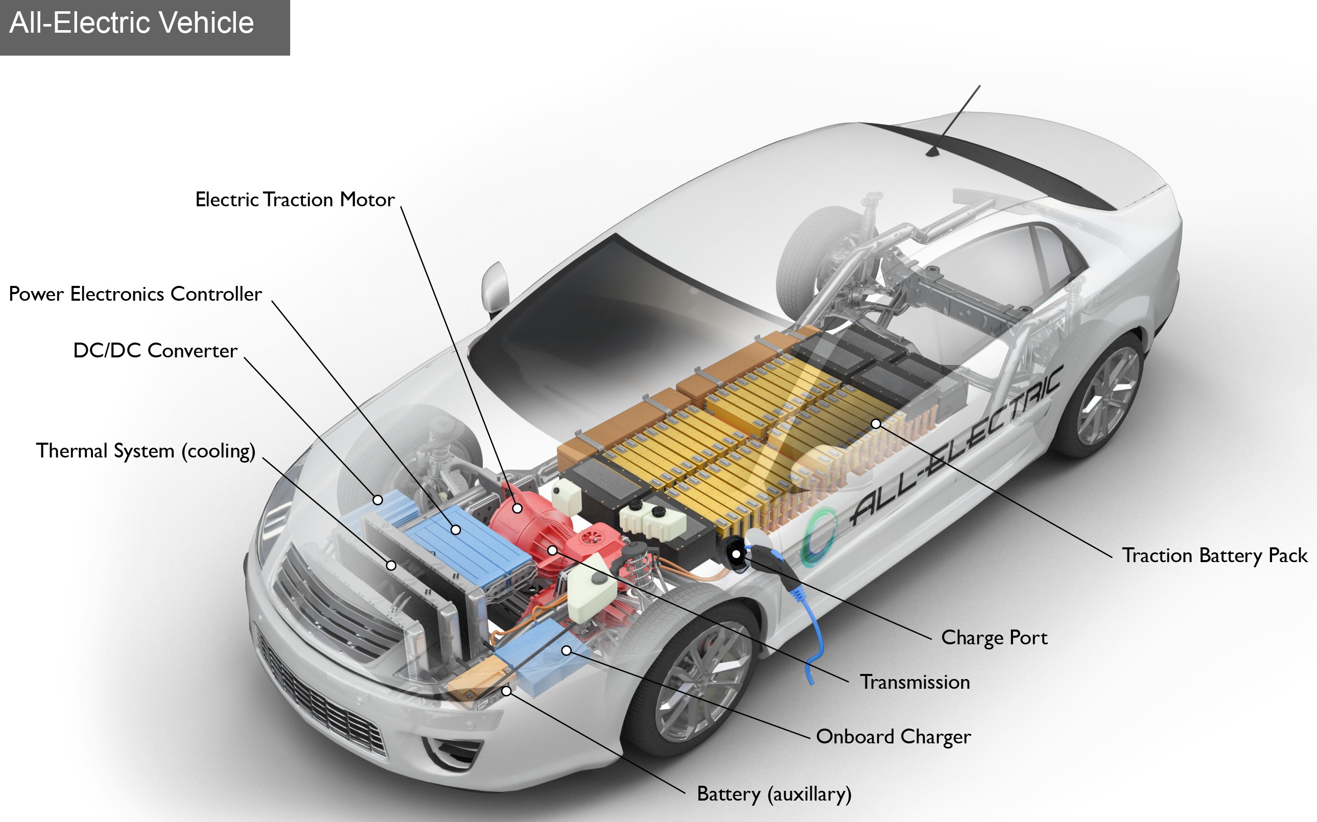 Traction motor for store electric vehicle