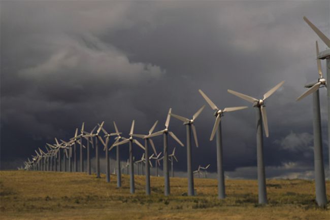 Shock! Wind power is so harmful