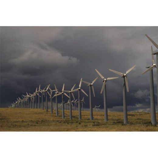 Shock! Wind power is so harmful