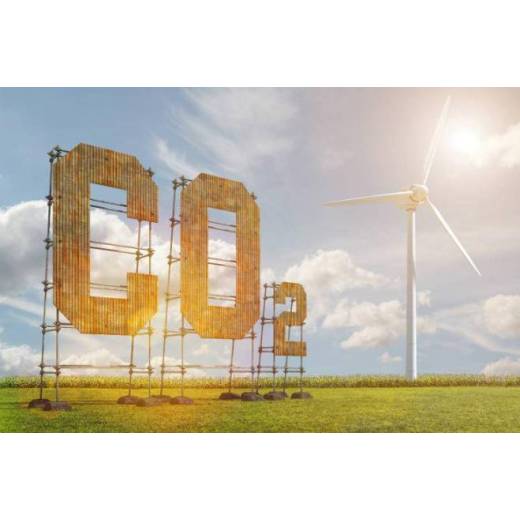 Carbon Neutrality And Magnet