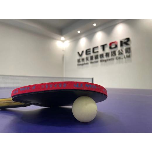 A day in the company