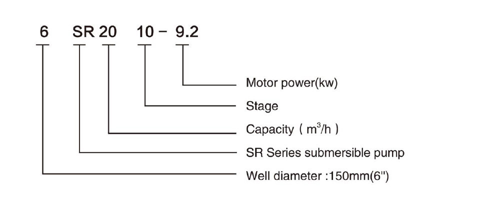 6SR20 DEEP WELL PUMP