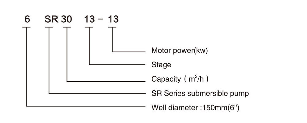 6SR30 DEEP WELL PUMP