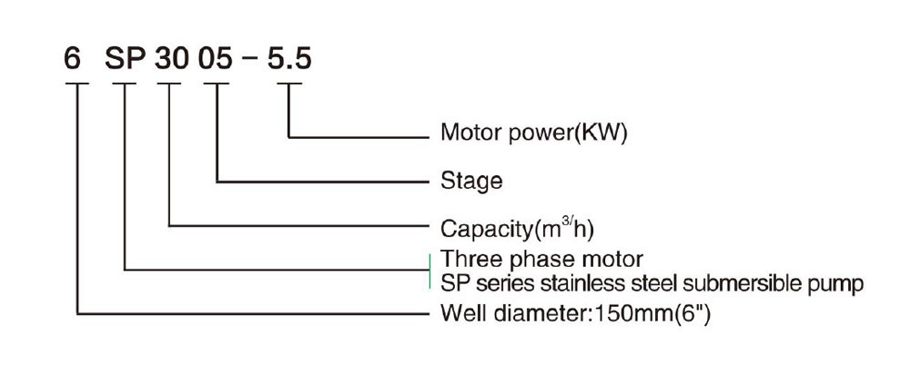 6SP30 SUBMERSIBLE PUMPE FÜR GUT