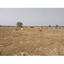 DIFFUL SOLAR PUMP - - Helping the Namibia Livestock industry